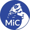 lofgo MIC grande