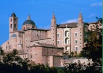 Urbino