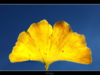 Ukraine, foto di Lutz su Flickr